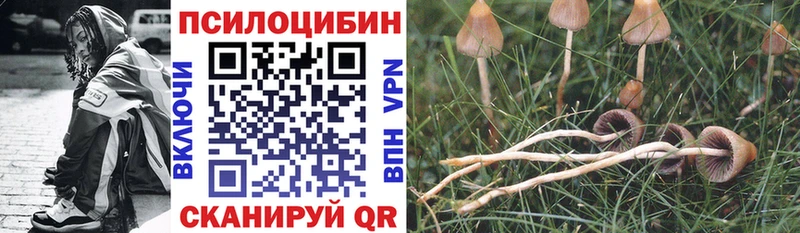 продажа наркотиков Приморско-Ахтарск Псилоцибиновые грибы прущие грибы